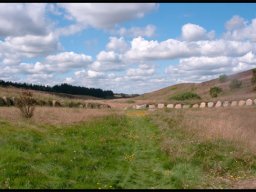 IMGP3014-Moedepladsen